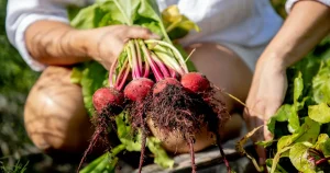 Sju livsmedel som får dig att må bra