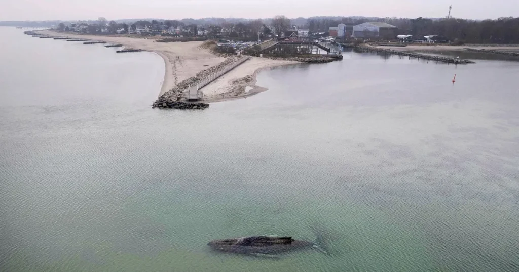 Valen utanför Lübeck är fri – drönare följer dess väg mot Atlanten