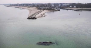 Valen utanför Lübeck är fri – drönare följer dess väg mot Atlanten