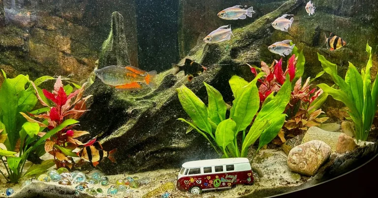 Jessica: Jag började med ingenting och har nästan allting kvar