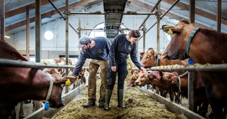 Katarina sadlade om – tog över gården hon först ville lämna