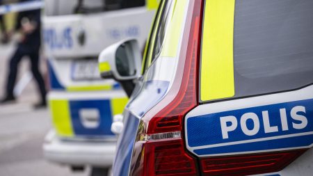 Rapporterad kidnappning visar sig vara en svensexa