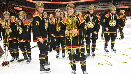 Brynäs Hjältar: Jag Älskar Detta