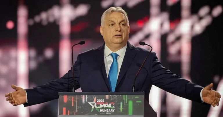 Max Hjelm: Är du oälskad med dåliga framtidsutsikter? Lej en lönnmördare!