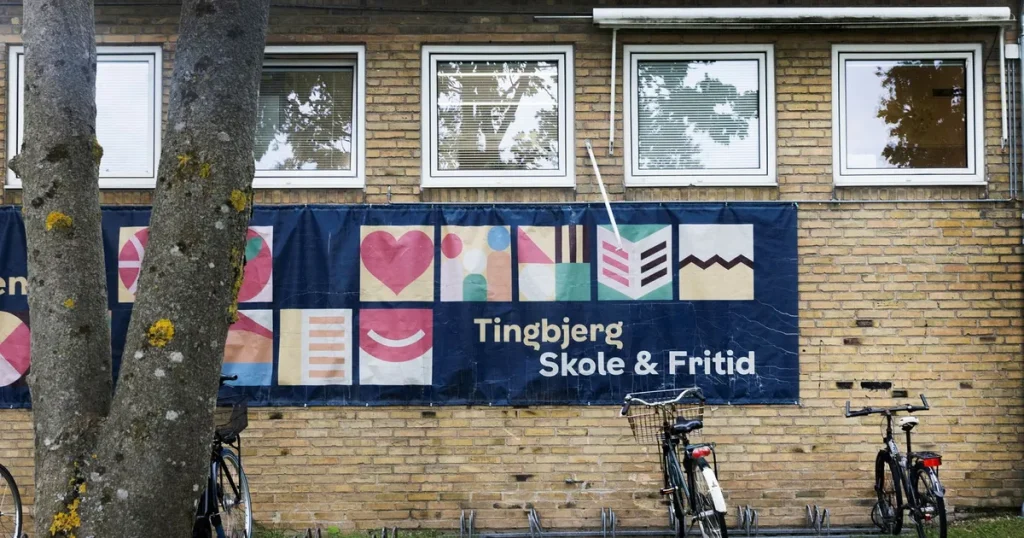 Vesna Prekopic: Jag blir uppspelt av en dansk skola som visar vägen till framtiden