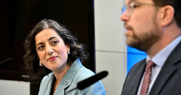 Statsvetare: L får en desillusionerad medlemskår