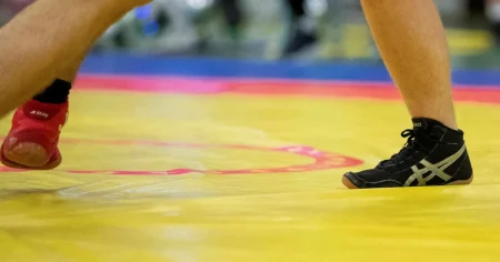 Landslagsbrottare avrättad i Iran