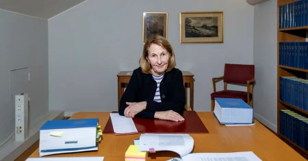 Toppjuristerna på Riddarholmen som sågar regeringen