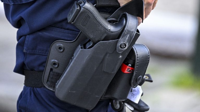 Polis skjuter mot man under lägenhetsstörning i Orsa