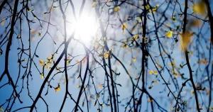 SMHI: I morgon blir det vår