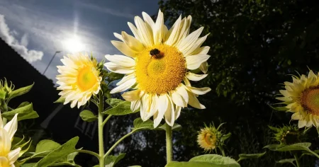 Nyckeln till lycka kan vara att känna sig älskad