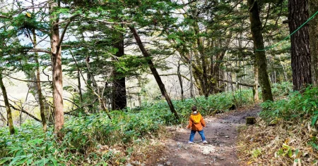 Kristofer Ahlström: I dag kan bara riktigt rika ge sina barn frihet