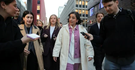 Insändare. Därför bojkottar vi Mohamssons charad på demokrati