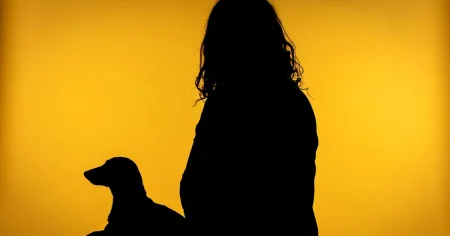 Hanna Hellquist: Jag ville rädda min tax – och hamnade i ett drev