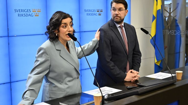 Mohamsson säger att Sverigedemokraterna inte är hennes förstahandsval