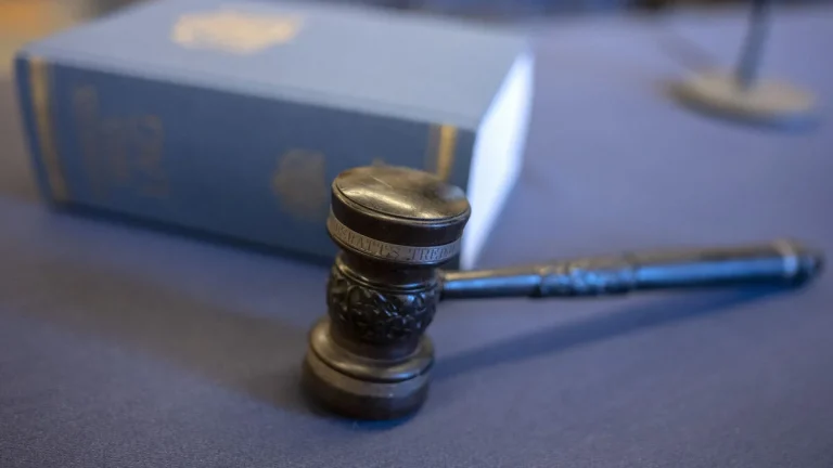 Människosmugglare som körde kvinna till döds helt frikänd