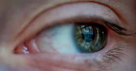 Forskare hittade på sjukdom – sedan började chattbotarna ställa diagnoser