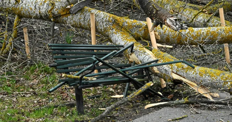 Efter stormen – detta gäller för din försäkring