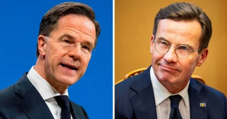 Amanda Sokolnicki: Ulf Kristersson är Sveriges egen Mark Rutte