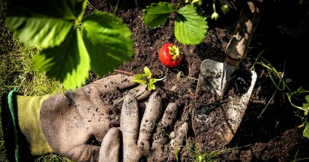 Greta Schüldt: Typiskt odlare att vara besatta av ”schysta lökar”