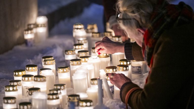 Regeringen ska utreda vansinnesdåd