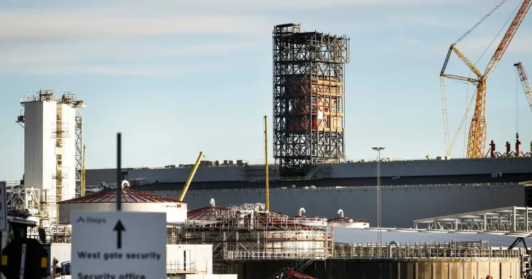 Peter Alestig: Detta dödar spekulationerna om en ”grön bubbla”