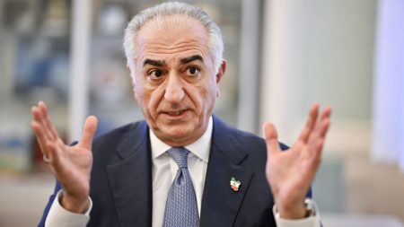 Reza Pahlavi om kritiken: Många iranier är fast i 1979
