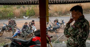 De dödar och äter grödor – nu ger Thailand elefanter preventivmedel