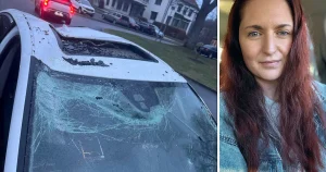 Victoria fick ett träd över bilen: ”Glassplitter överallt”