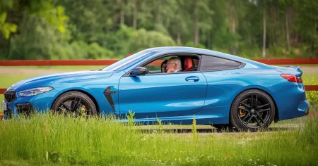 Helmerson: Kungen är säkert lyckligare än Elon Musk