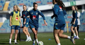 Guide: Jakten på en VM-biljett fortsätter mot Danmark