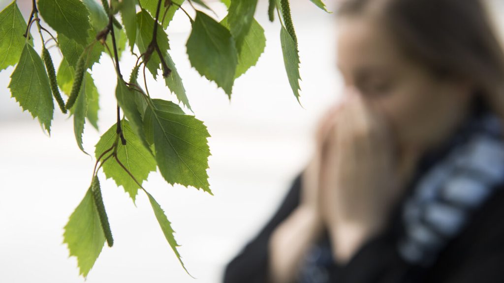 Nya riktlinjer rekommenderar behandling av fler personer med svåra allergier