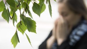 Nya riktlinjer rekommenderar behandling av fler personer med svåra allergier