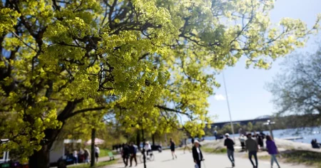Högsommarvärme – men räkna med regn och åska