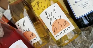 Ny nordlig vingård öppnar för besök