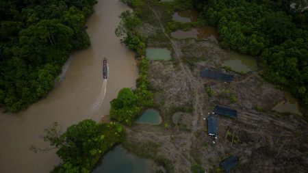 Rivaliserande gerillagrupper strider i Colombias Amazonregion, cirka 50 dödade