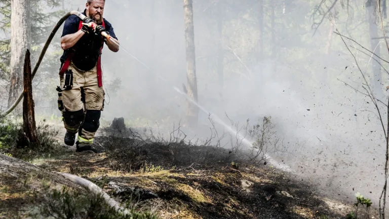 SMHI varnar – ökad risk för skogs- och gräsbränder
