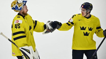 Tre Kronor-målvakten säger att han fick mycket skit i media