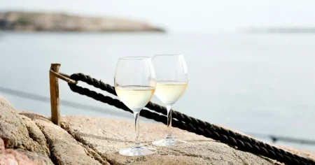 Budgetfynd och kalasviner bäst bland sommarnyheterna