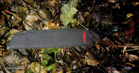 Handen höggs av med machete: ”Försökte sätta dit den”