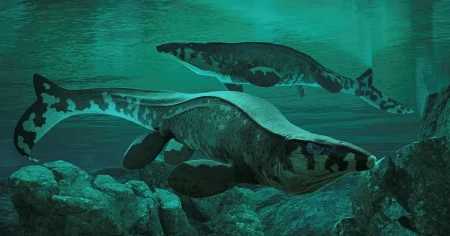 Gigantisk reptil var havets T-rex