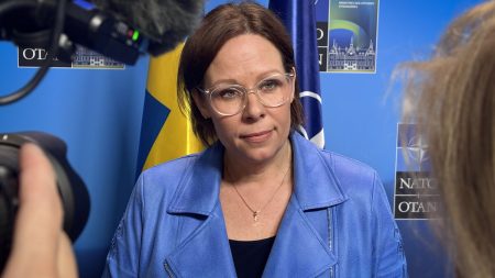 Sverige oroat att andra kommer att minska stödet till Ukraina efter EU:s lån på 90 miljarder euro