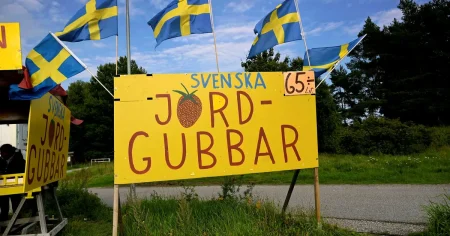 Jordgubbsunderskott hotar midsommar