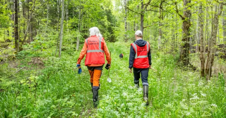 De boende pustar ut – men vad händer när myggorna försvinner?