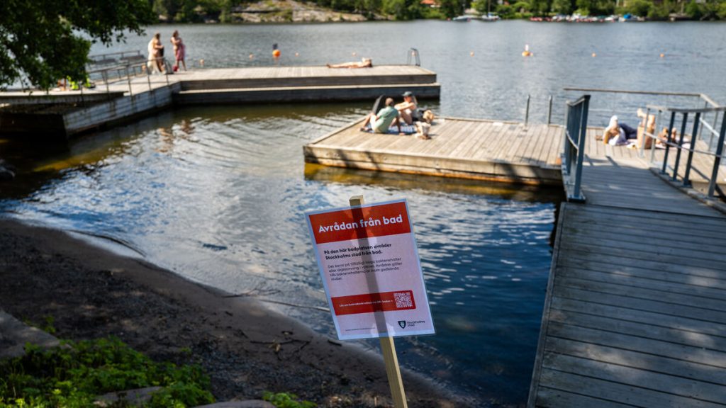 Giftiga blågröna alger nu i större delen av Östersjön kan orsaka feber
