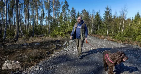 Delar av E18 grävdes ned – på Johans fastighet: ”Nu dör skogen”