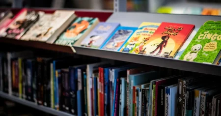 Linus Larsson: Svaga pin-koder öppnade för intrång mot biblioteken