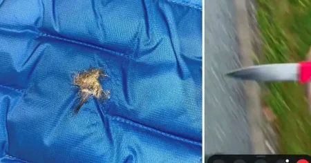 Infiltrerade sadistsekt – blir första anonyma vittnet