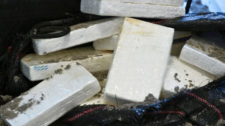 Enormt beslag av över ett ton droger i Turkiet vid gränsen till Grekland