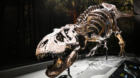 Världens första T-rex-läderväska på auktion